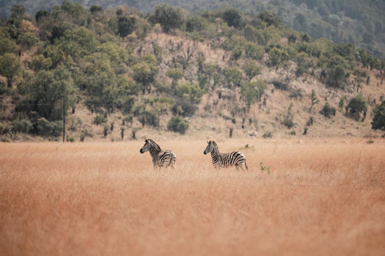 Dawsons Game Lodge Badplaas Exteriér fotografie